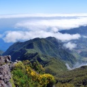 contemplation-paysage-madere