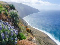 Côte de Madère