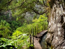 Levada de Madère