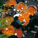 Vendeurs du marché de Funchal