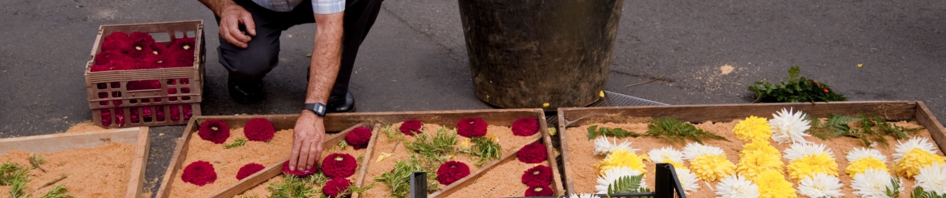 Etalage fêtes des fleurs de Madère