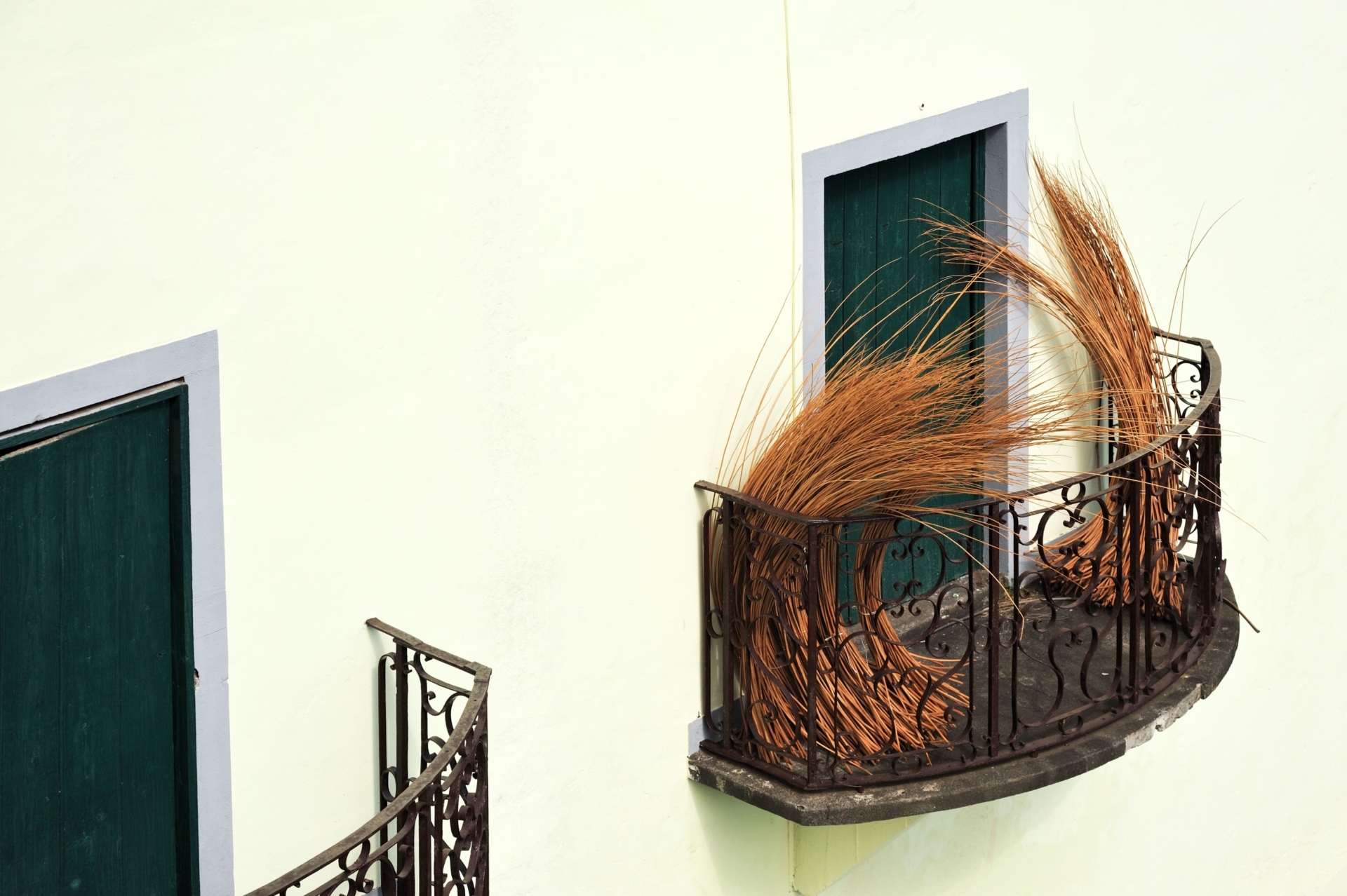 Balcon avec osier pour la vannerie