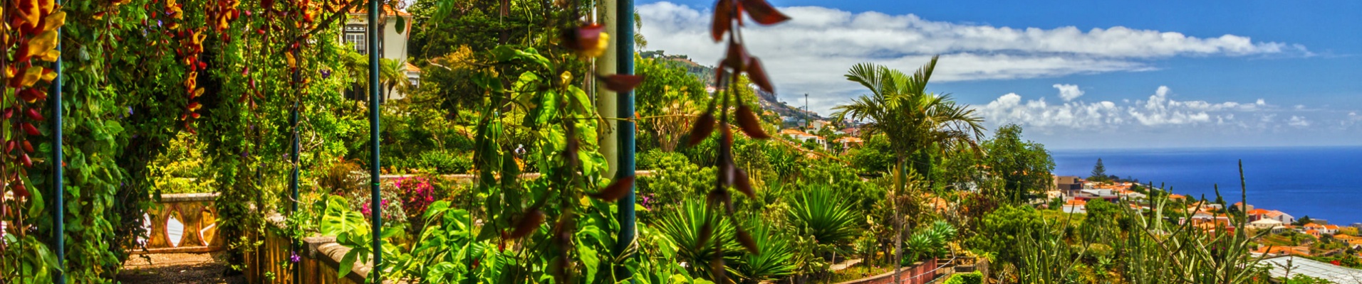 Jardin botanique de Madère