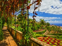 Jardin botanique de Madère