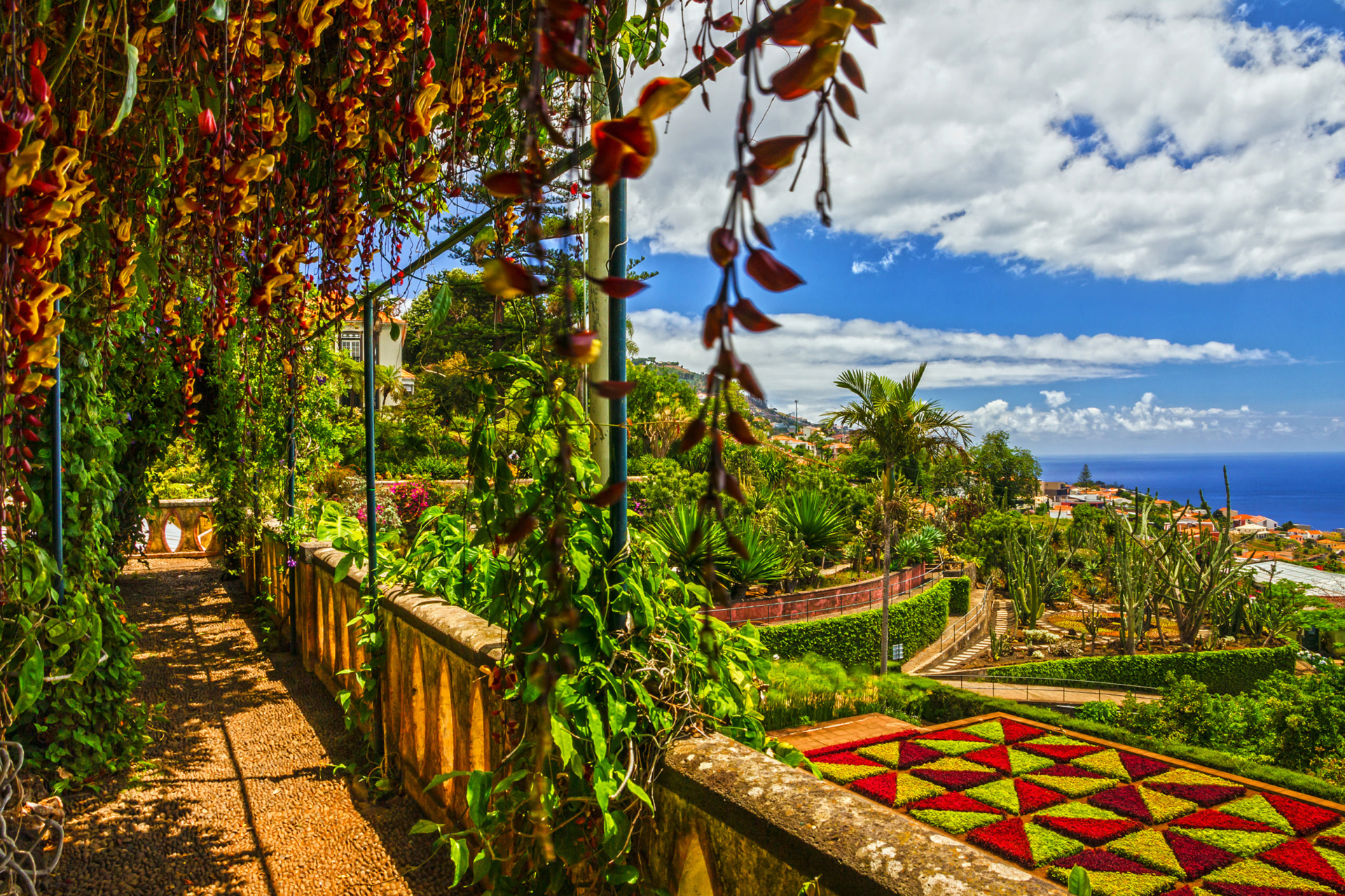 Jardin botanique de Madère