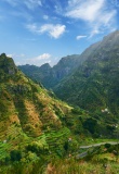 Montagnes verdoyantes de Madère