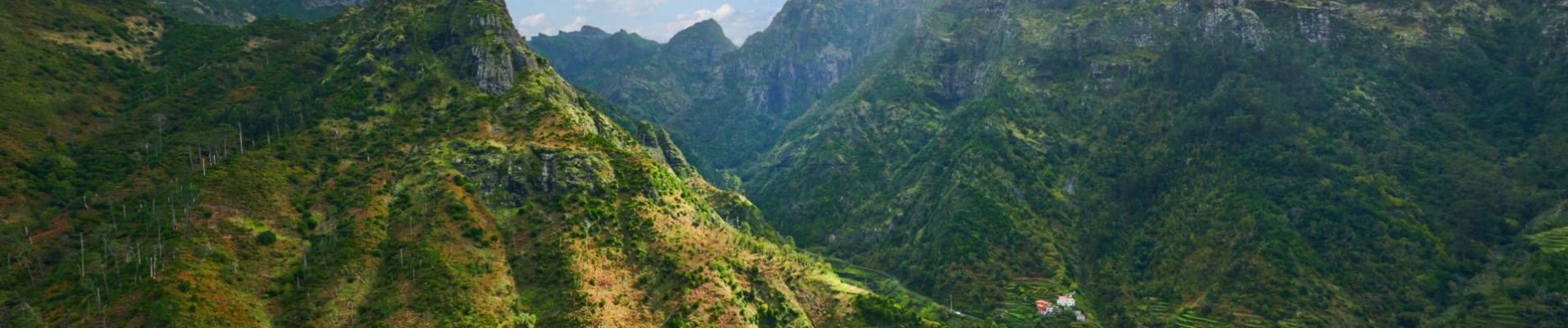 Montagnes verdoyantes de Madère