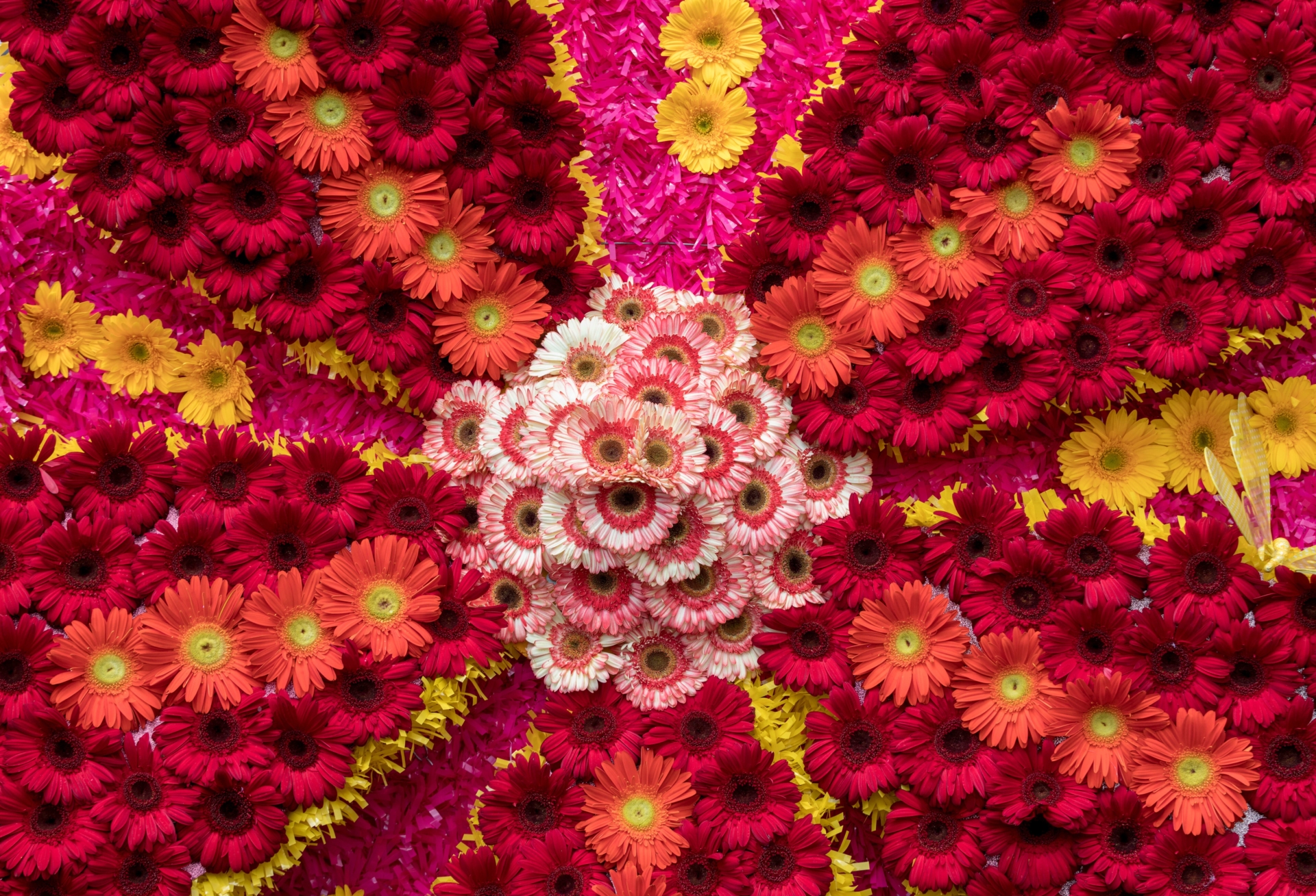 Mur de l'Espoir de la fête des fleurs de Madère