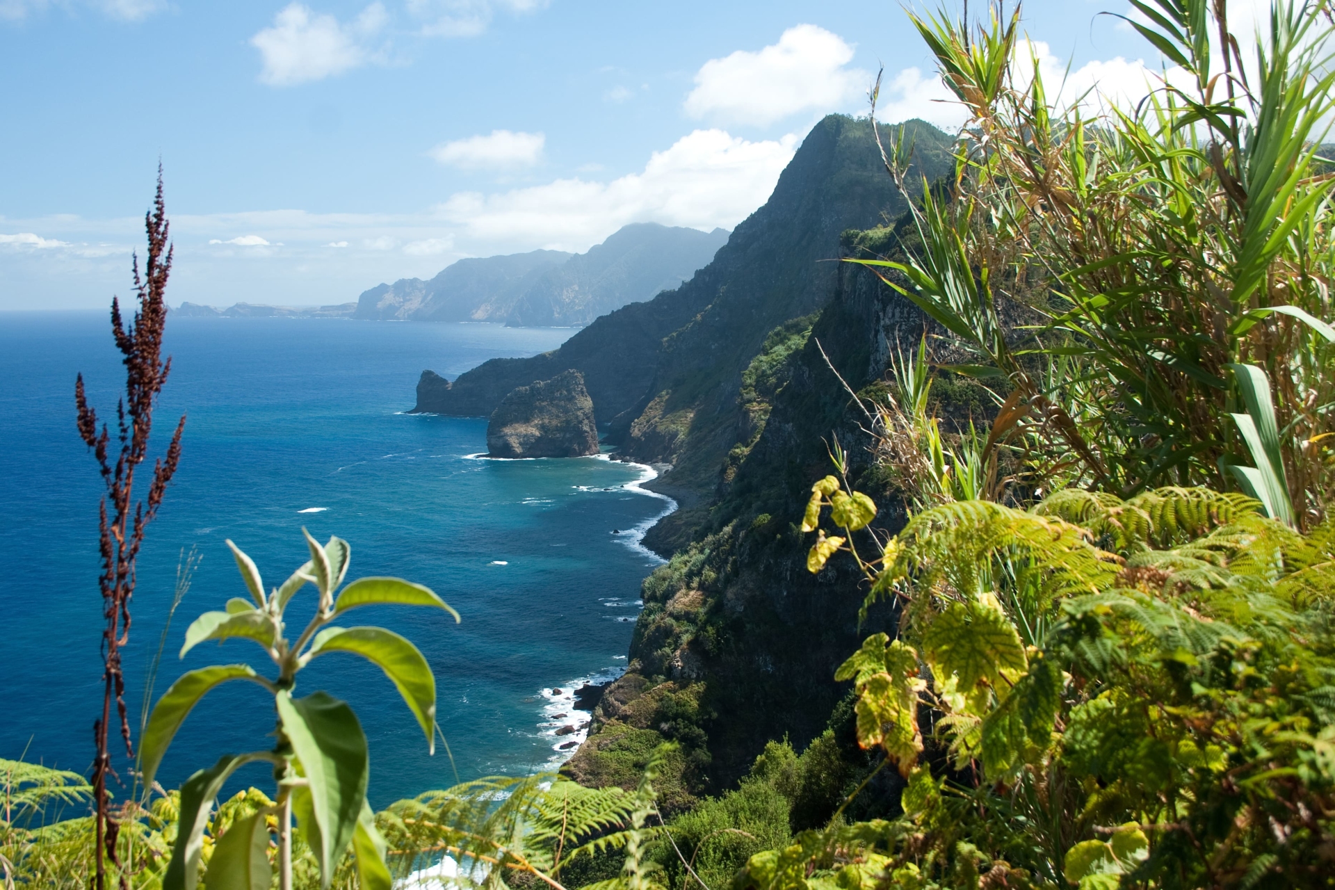 Paysage de la côte nord de Madère