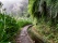 Levada du Chaudron Vert à Madère