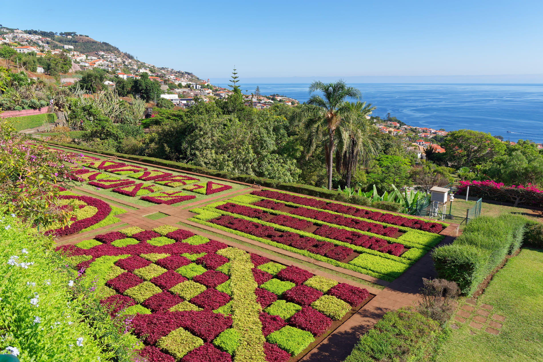 jardin-botanique-madere