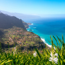 Vue sur Sao Jorge